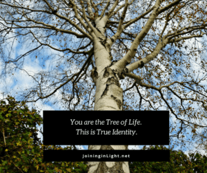 Mystical Bible supports ACIM