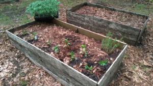 Holy Encounter - A Course in Love and Crock Pots