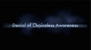 What is Denial of Choiceless Awareness? 1 What is Denial of Choiceless Awareness?