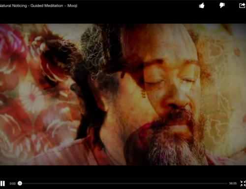 Mooji Meditation: Holy Instant