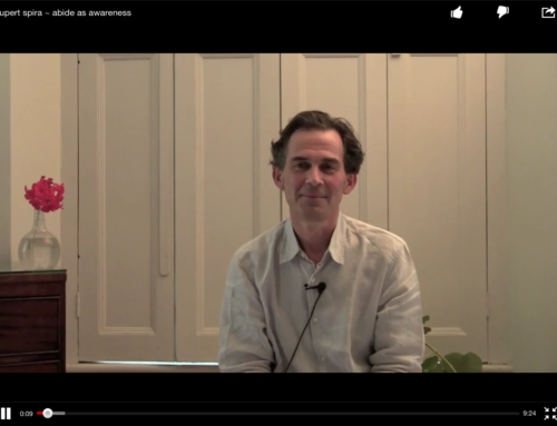 Awareness and Holy Instant : Spira