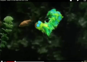 Love the Fish You're With 2 Love the fish you're with