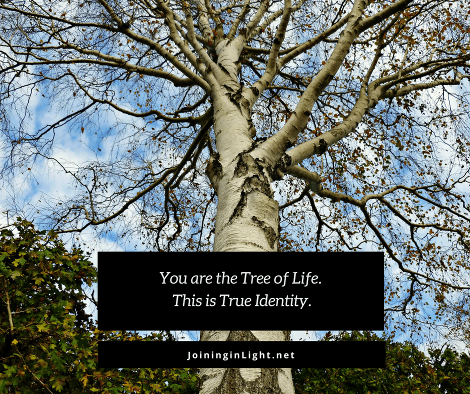 Mystical Bible supports ACIM