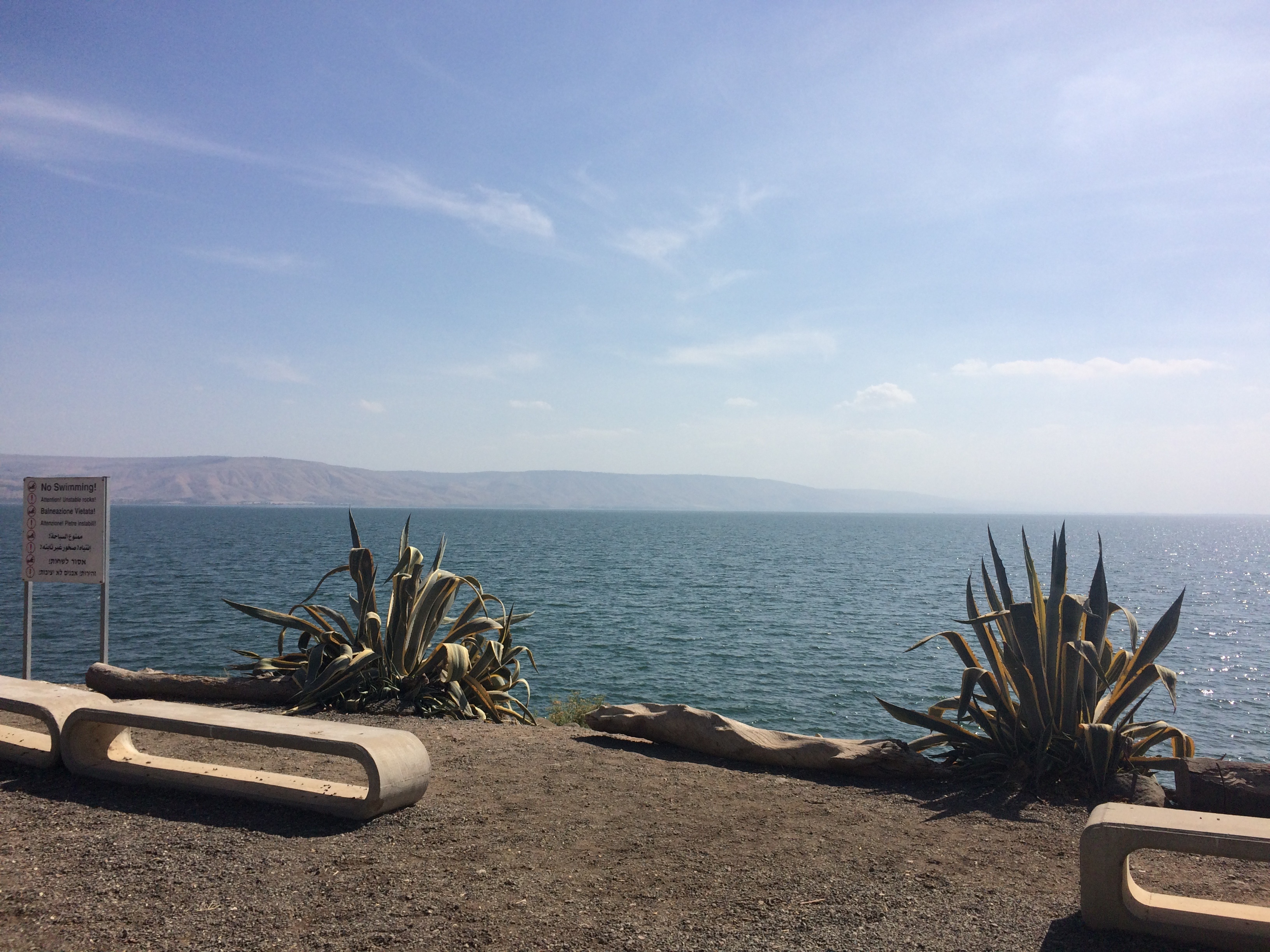 ACIM Who is your "Favorite" savior?