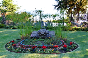 Visits: Joining in Light Silent Center