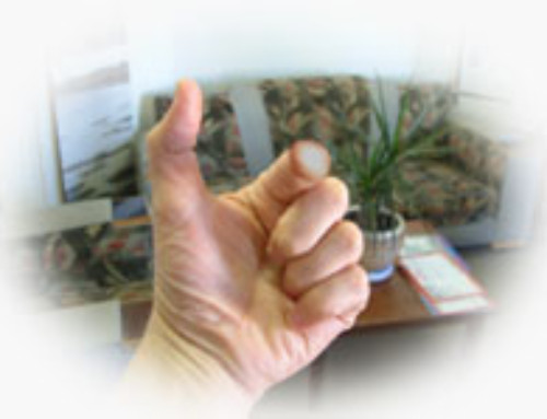 Harding: Holy Instant