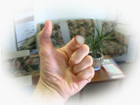 Harding: Holy Instant 4 Harding holy instant